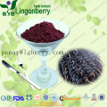 Acai Berry Extract